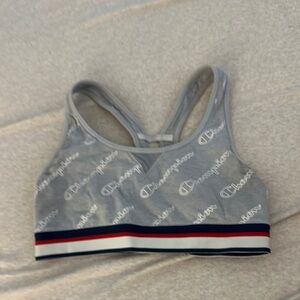 Champion Heather Gray Sports Bra with Stripes